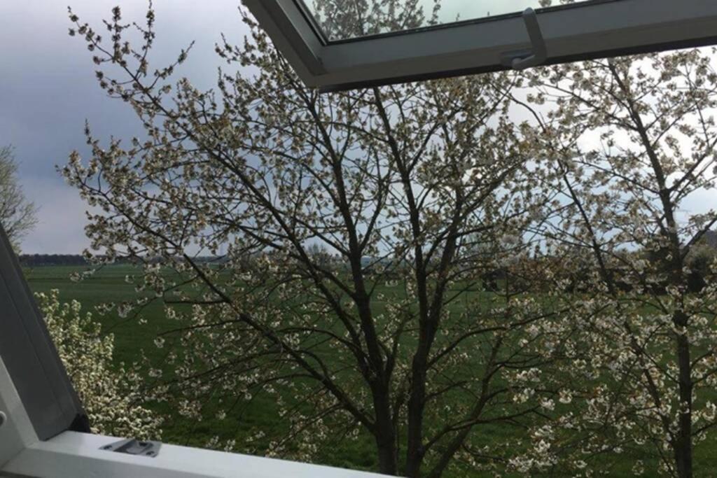 Landelijk Appartement In Een Mooi Recreatiegebied Abcoude Exteriér fotografie