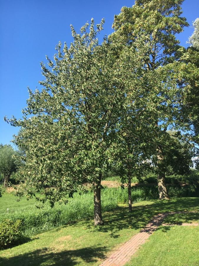 Landelijk Appartement In Een Mooi Recreatiegebied Abcoude Exteriér fotografie